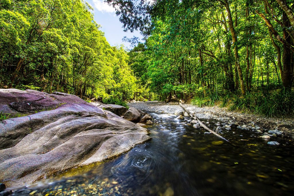 The Never Never Creek near Gleniffer is one of the jewels of the Coffs Coast. The Never Never Creek near Gleniffer is one of the jewels of the Coffs Coast.
